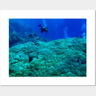 Coral reef and scuba diver Posters and Art